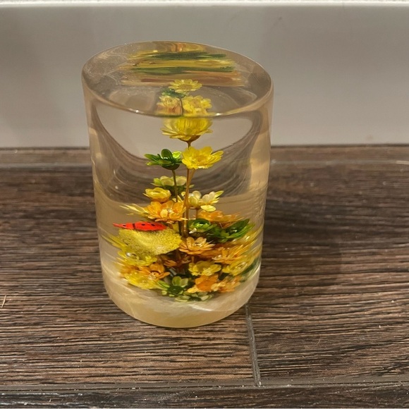 Vintage Daisyglas Company 50s/60s MCM Lucite/Acrylic Floral/Ladybug Paperweight - Picture 2 of 8